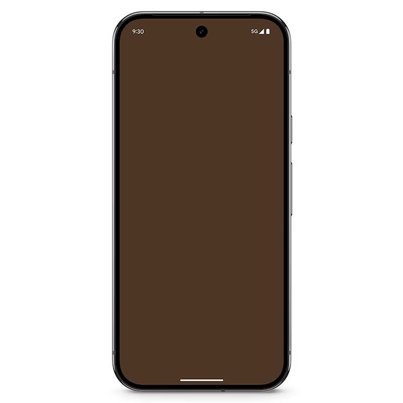 Google Pixel 9 Pro 5G 16GB/256GB Obsidiana - Teléfono móvil - Ítem2