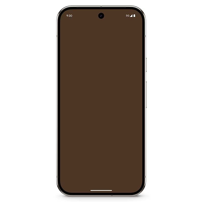 Google Pixel 9 Pro 5G 16GB/256GB Porcelana - Telemóvel - Item2