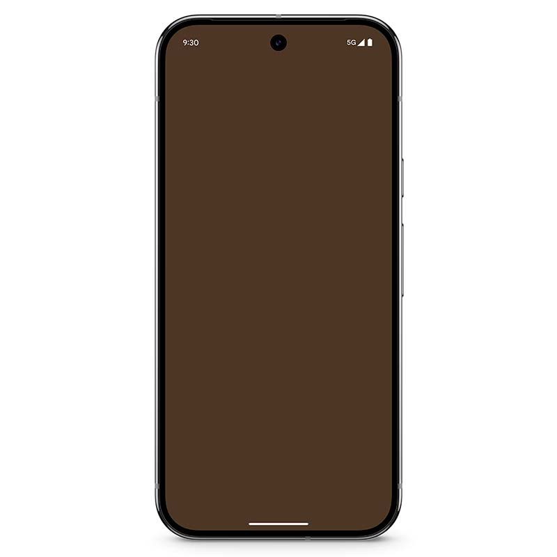 Google Pixel 9 Pro 5G 16Go/128Go Vert Lichen - Téléphone portable - Ítem2