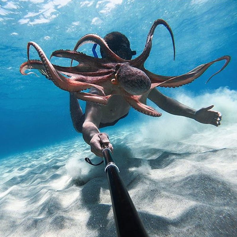 Gopro Hero 9 Black Improved Version 5k Resolution