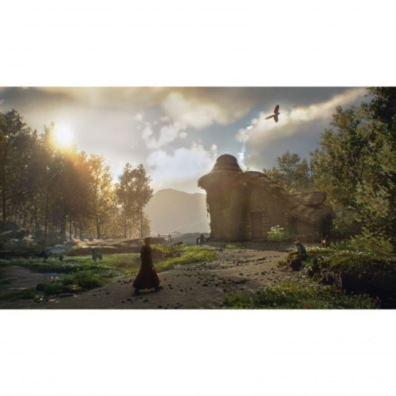 Hogwarts Legacy Standard PS5 - Ítem5