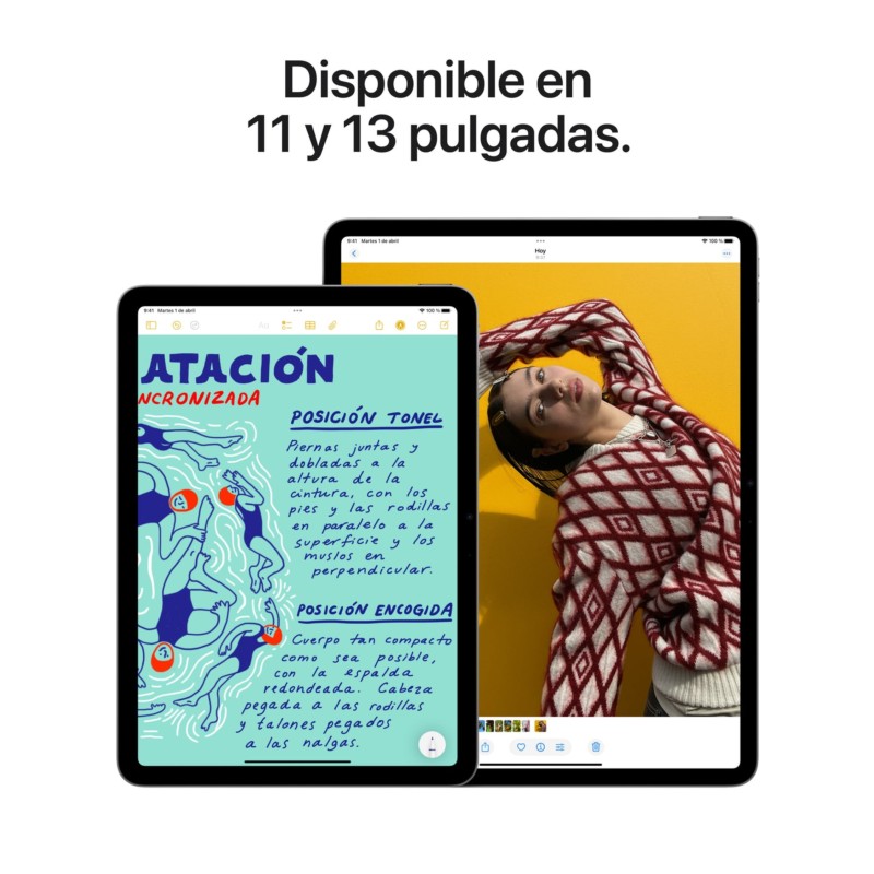 Apple iPad Air 2025 13 256 Go - Gris - Ítem7