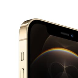 Borde dorado pulido con marco plano, botones laterales visibles y pantalla OLED con bisel negro mínimo mostrando un arco iris sutil. Acabado premium impecable.