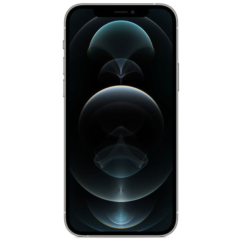 iPhone 12 Pro 256Go Argent Renewed État Excellent - Ítem1