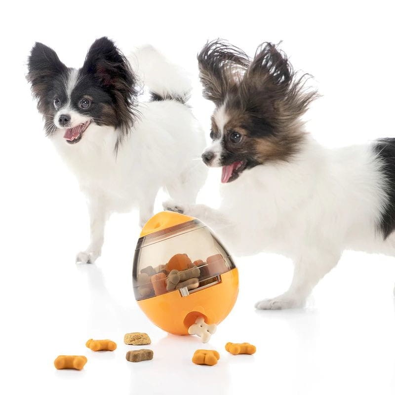 Juguete Dispensador de Premios para Mascotas 2 en 1 Petyt InnovaGoods - Ítem4