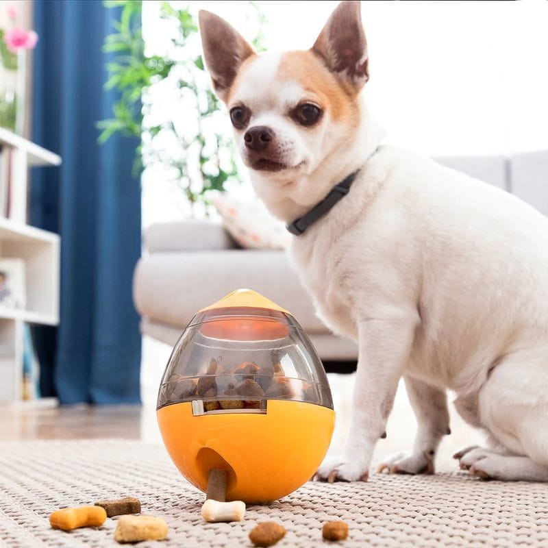 Juguete Dispensador de Premios para Mascotas 2 en 1 Petyt InnovaGoods - Ítem5