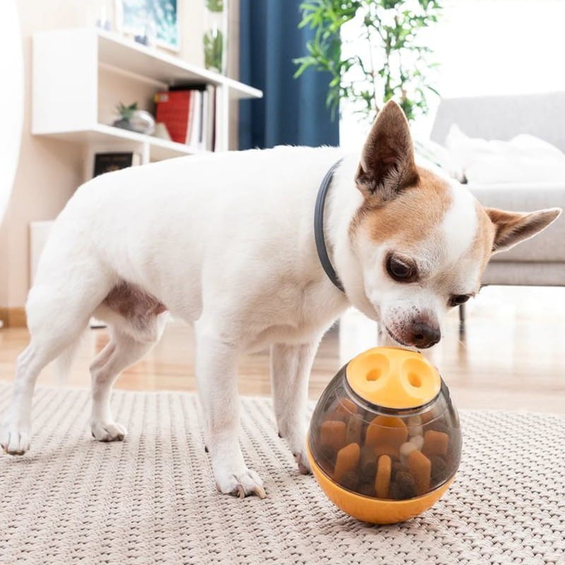 Juguete Dispensador de Premios para Mascotas 2 en 1 Petyt InnovaGoods - Ítem7