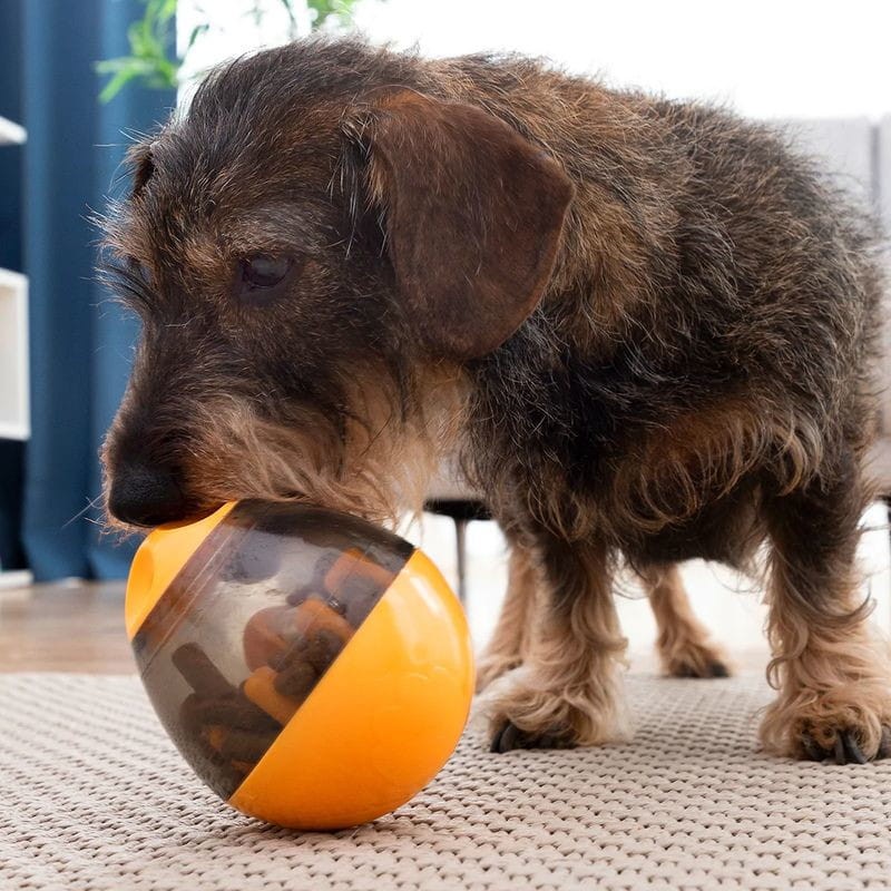 Juguete Dispensador de Premios para Mascotas 2 en 1 Petyt InnovaGoods - Ítem8