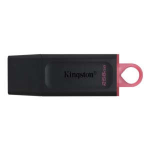Kingston DataTraveler Exodia USB 256 Go (3.2 Gen 1)