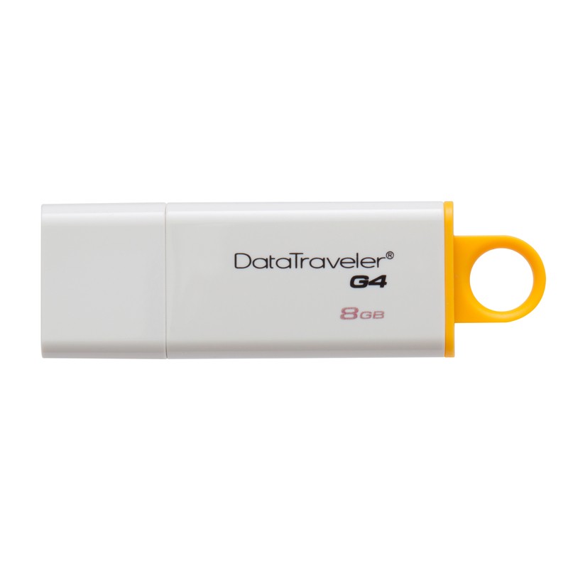 Kingston Technology DataTraveler G4 8GB