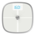 Koogeek KS1 - Intelligent Scale - Item