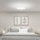 Lâmpada de teto Xiaomi Mi Smart LED Ceiling Light - Item2