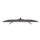 LG 43LK6100 43 FullHD Smart TV LED - Item4