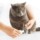 Lima para Animais de Estimação Xiaomi Pawbby - Item5
