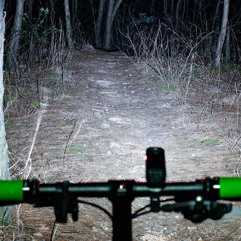 rockbros 1000 lumens