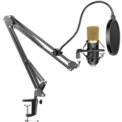 Micrófono Condensador BM-700 Streaming/Estudio + Soporte de Brazo Dorado/Negro - Ítem