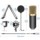 Micrófono Condensador BM-700 Streaming/Estudio + Soporte de Brazo Dorado/Negro - Ítem2