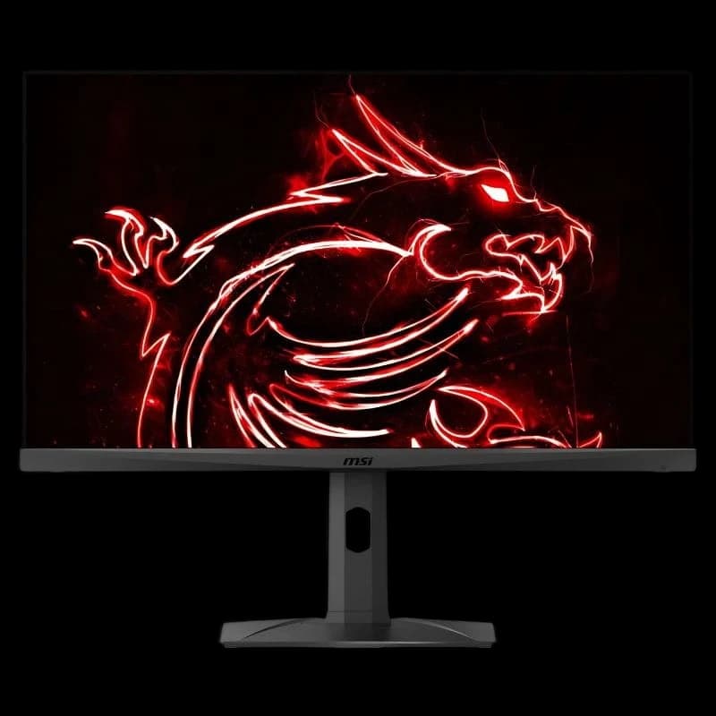 MSI MAG321QR QD 31.5 WQHD FreeSync Premium IPS Preto - Monitor PC