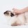 Pente de Massagem Petkit - Item1