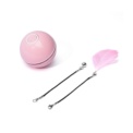 Bola Interativa para Gatos com Luzes LED Rosa - Item