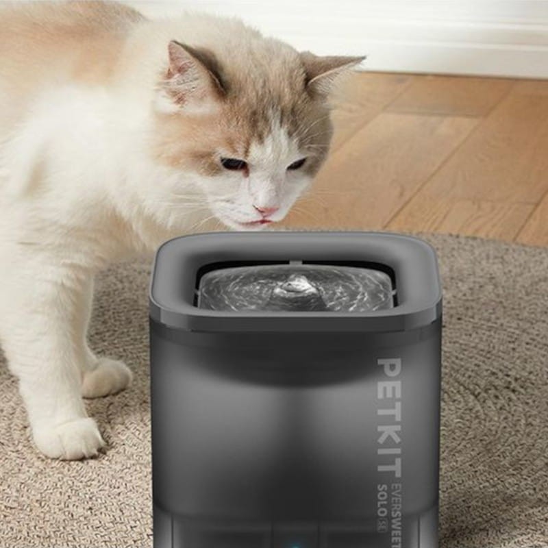 Bebedero Automático Petkit Eversweet Solo SE Smart Pet Fountain Gris - Ítem6