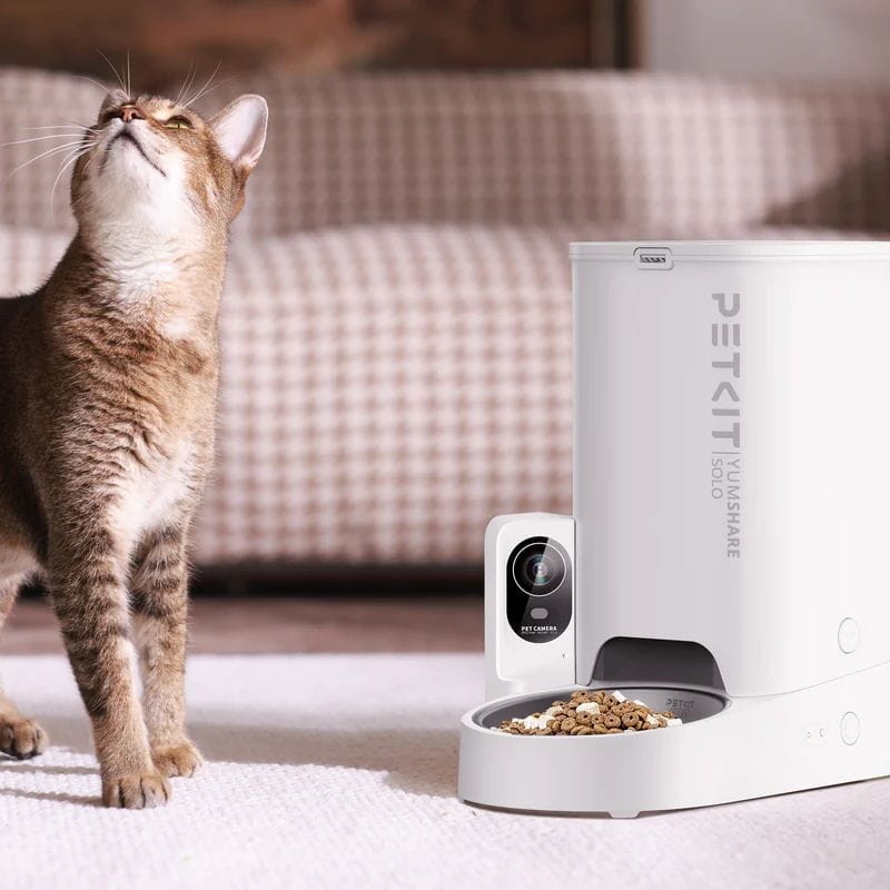 Comedero Automático Alimentador Automático Para Gatos Pete