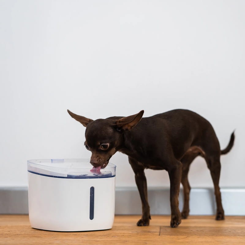 Bebedouro Petoneer Fresco Mini Plus Smart Pet Fountain - Item7
