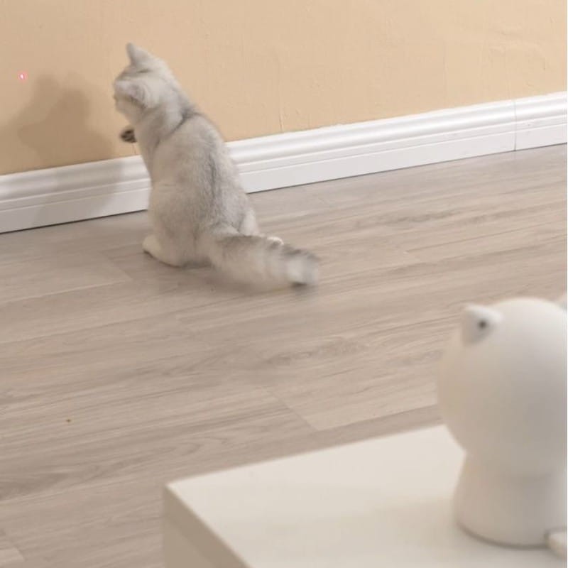 Petoneer Smart Dot - Brinquedo para gatos - Item4