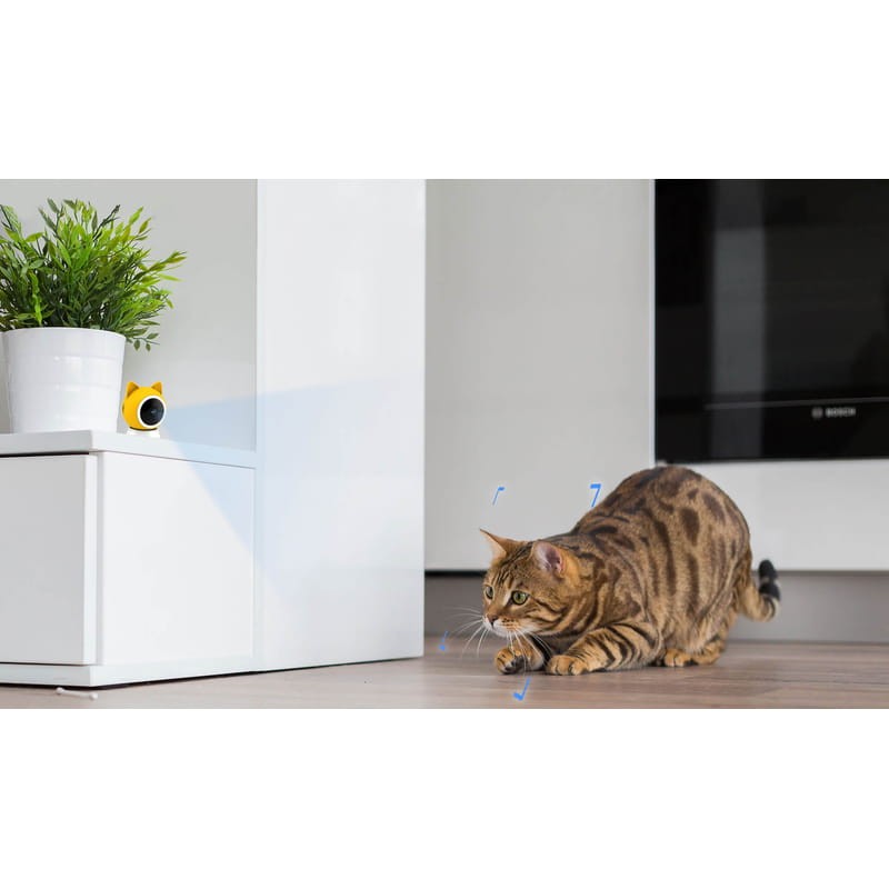 Petoneer Smart Pet Cam 1080p - Cámara de vigilancia para mascotas - Ítem3