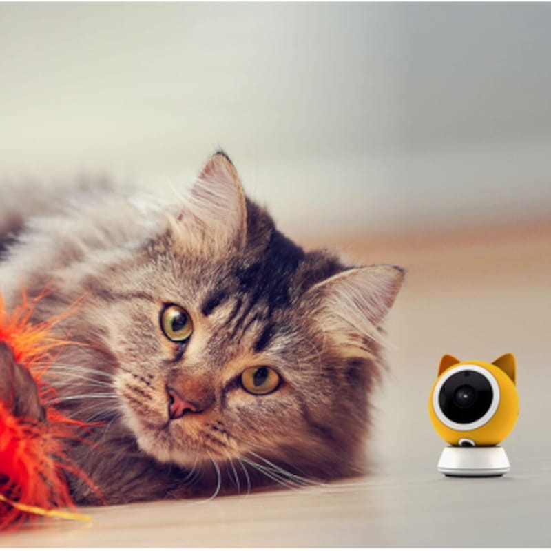 Cámara de vigilancia para mascotas Pet Cam con chat veterinario integrado  para gatos y perros, cámara de seguridad con vídeo HD 1080p, visión  nocturna, audio bidireccional, montaje magnético para toda la vigilancia