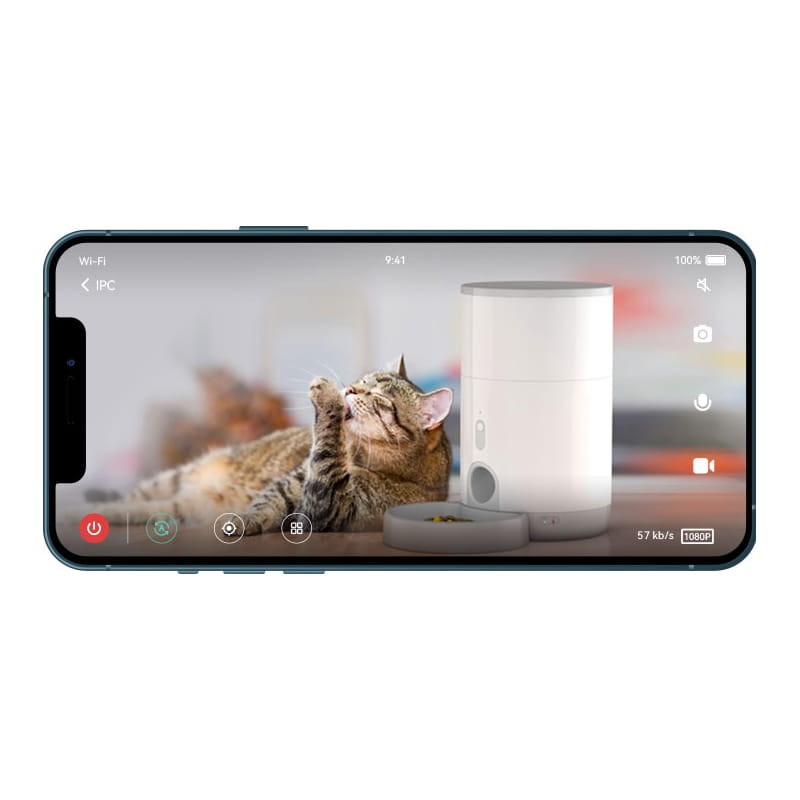 Cámara de vigilancia para mascotas Pet Cam con chat veterinario integrado  para gatos y perros, cámara de seguridad con vídeo HD 1080p, visión  nocturna, audio bidireccional, montaje magnético para toda la vigilancia