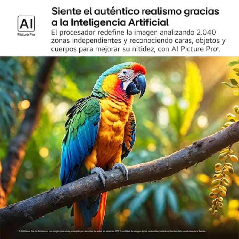  LG AI 55QNED92A6A 55