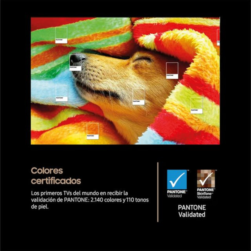 Samsung TQ42S90FAE 42 pulgadas OLED 4K Ultra HD en negro, pantalla sin marcos visibles, peana doble, logos de 144 Hz, Pantone Validated y Vision AI en pantalla - Ítem4