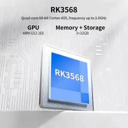 Anbernic RG DS Noir - Console rétro avec puce RK3568, CPU quad core 64 bits, GPU ARM G52 2EE, mémoire 3 Go et stockage 32 Go, design moderne argenté
