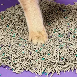 Arena para gatos en pellets beige con partículas verdes y moradas, textura mixta y gránulos uniformes que no se pegan a la pata, ideal para control de olores