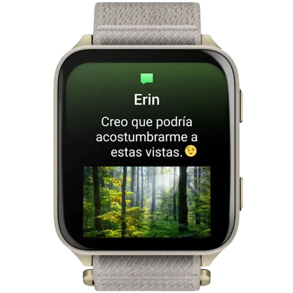Garmin Venu X1 Caja de titanio dorada Correa de nailon ComfortFit Gris - Ítem3