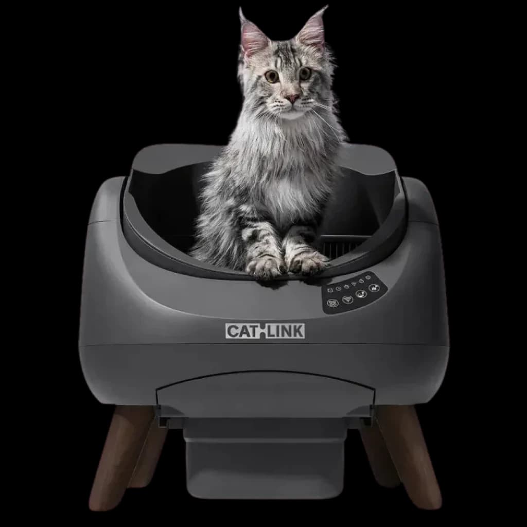 Arenero autolimpiable gris con tapa abierta, base elevada con patas de madera, panel de control lateral y cajón recolector; gato sentado en el interior