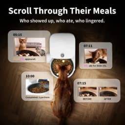 Petkit Yumshare Solo 2 branco com câmara integrada, reservatório 3 L, Wi‑Fi e histórico visual das refeições, permite até 10 por dia