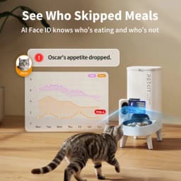 Comedouro automático branco com câmara integrada, tigela azul e projeção de IA Face ID; gráfico de refeições no ecrã e gato listrado aproximando-se