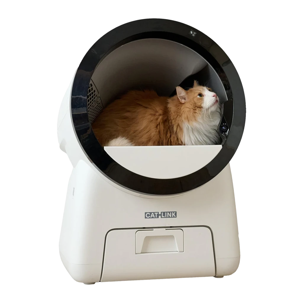 Litière Autonettoyante CATLINK Scoop Robot Pro 15L Blanc App WiFi 4 Capteurs + Infrarouge, détail: chat roux à l'intérieur