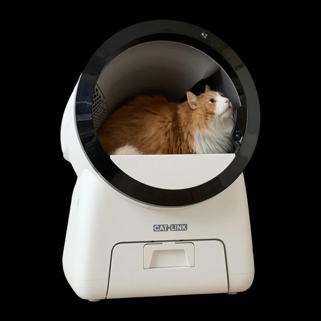 Litière Autonettoyante CATLINK Scoop Robot Pro 15L Blanc App WiFi 4 Capteurs + Infrarouge, détail: chat roux à l'intérieur