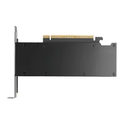 PNY Tarjeta Gráfica NVIDIA RTX Pro 2000 Blackwell 16 GB GDDR7 - vista