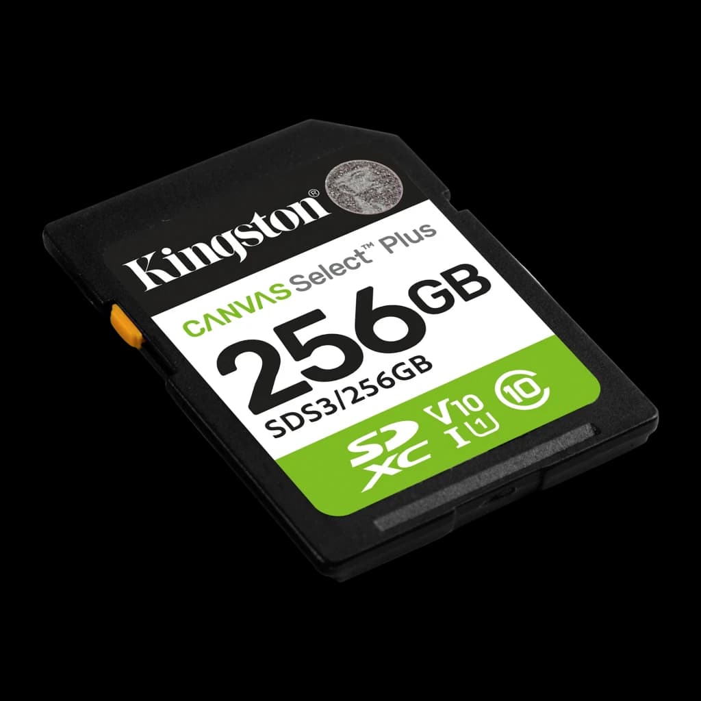 Kingston Canvas Select Plus SDXC 256GB vert noir blanc, vue en angle: perspective inclinée montrant l'épaisseur et le