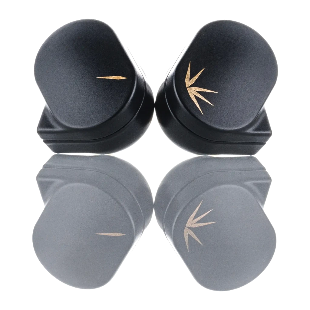 Auriculares Moondrop Chu II In-Ear negros con cable desmontable de 3.5 mm, diseño ergonómico tipo gancho y detalles dorados, sello L y R visibles - Ítem2
