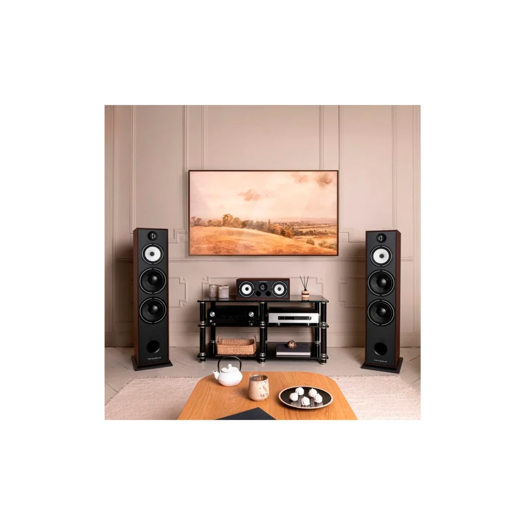 Triangle Borea BR10 madera cerezo, vista frontal en ángulo: tweeter, midrange y dos woofers en baffle gris - Ítem3
