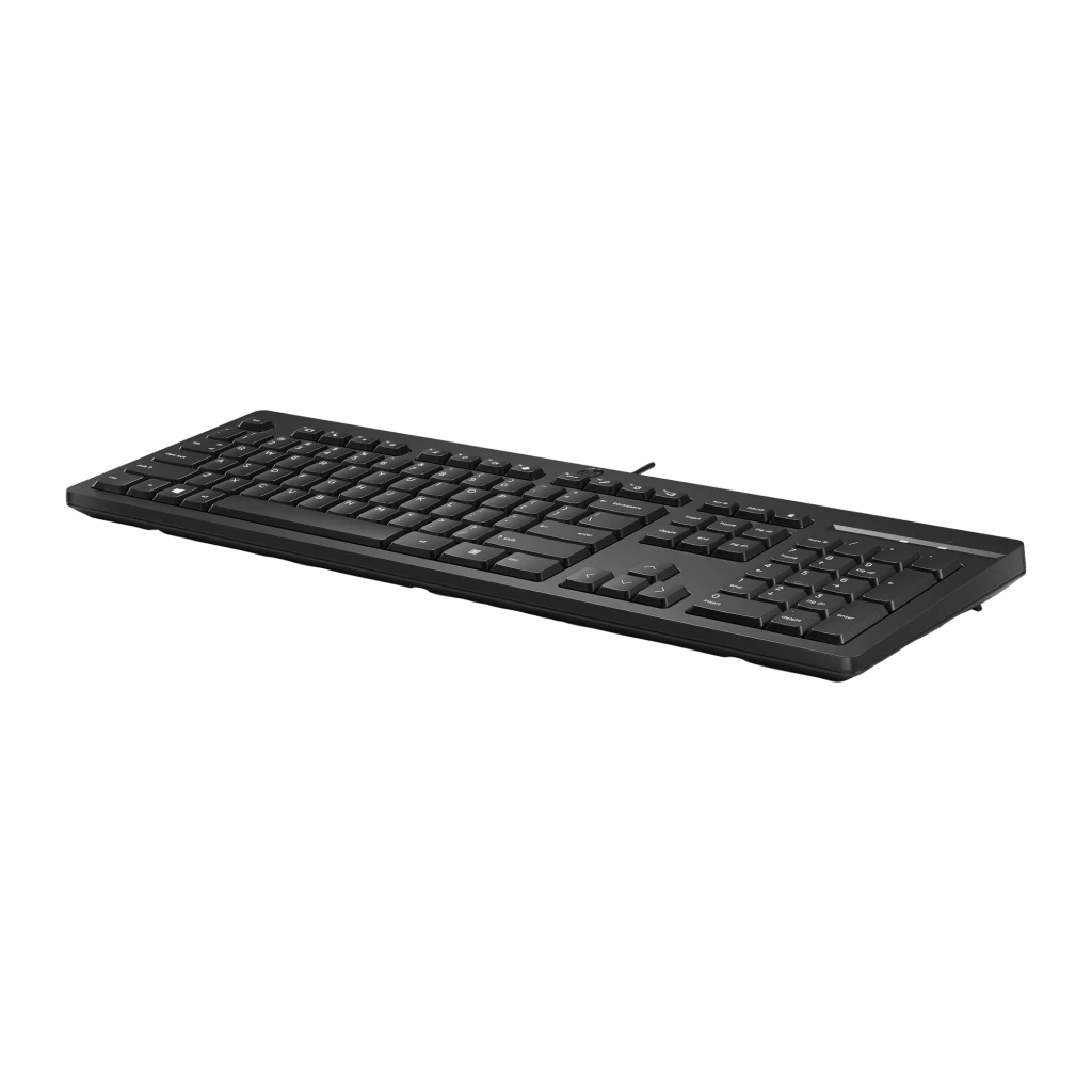 HP Teclado 125 G2 USB negro, vista superior: teclado completo con teclado numérico, cable USB y logo HP centrado - Ítem3