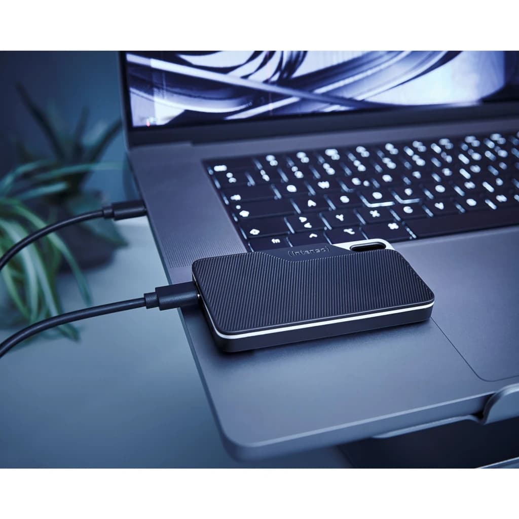 Intenso SSD Portable TX100 1TB noir, utilisation: branché par câble USB à un laptop sur bureau