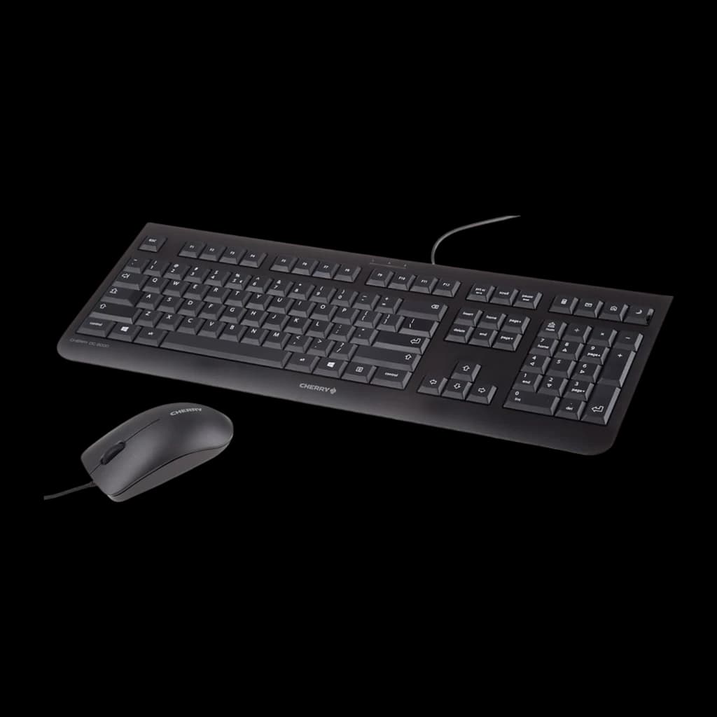 CHERRY DC 2000 USB Español Negro, kit en perspectiva: teclado en ángulo con ratón con cable delante a la izquierda