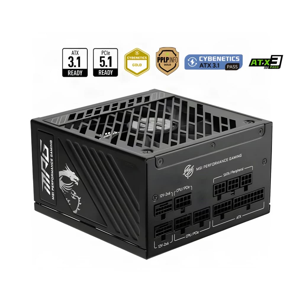 MSI Fuente de alimentación MPG A1000G PCIe 5 1000 W 80 Plus Gold Full Modular - detalhe 2