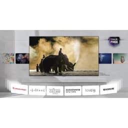 LG Televisor 85QNED81B6A 85 pulgadas 4K Ultra HD Smart TV Wi-Fi Negro - détail 2